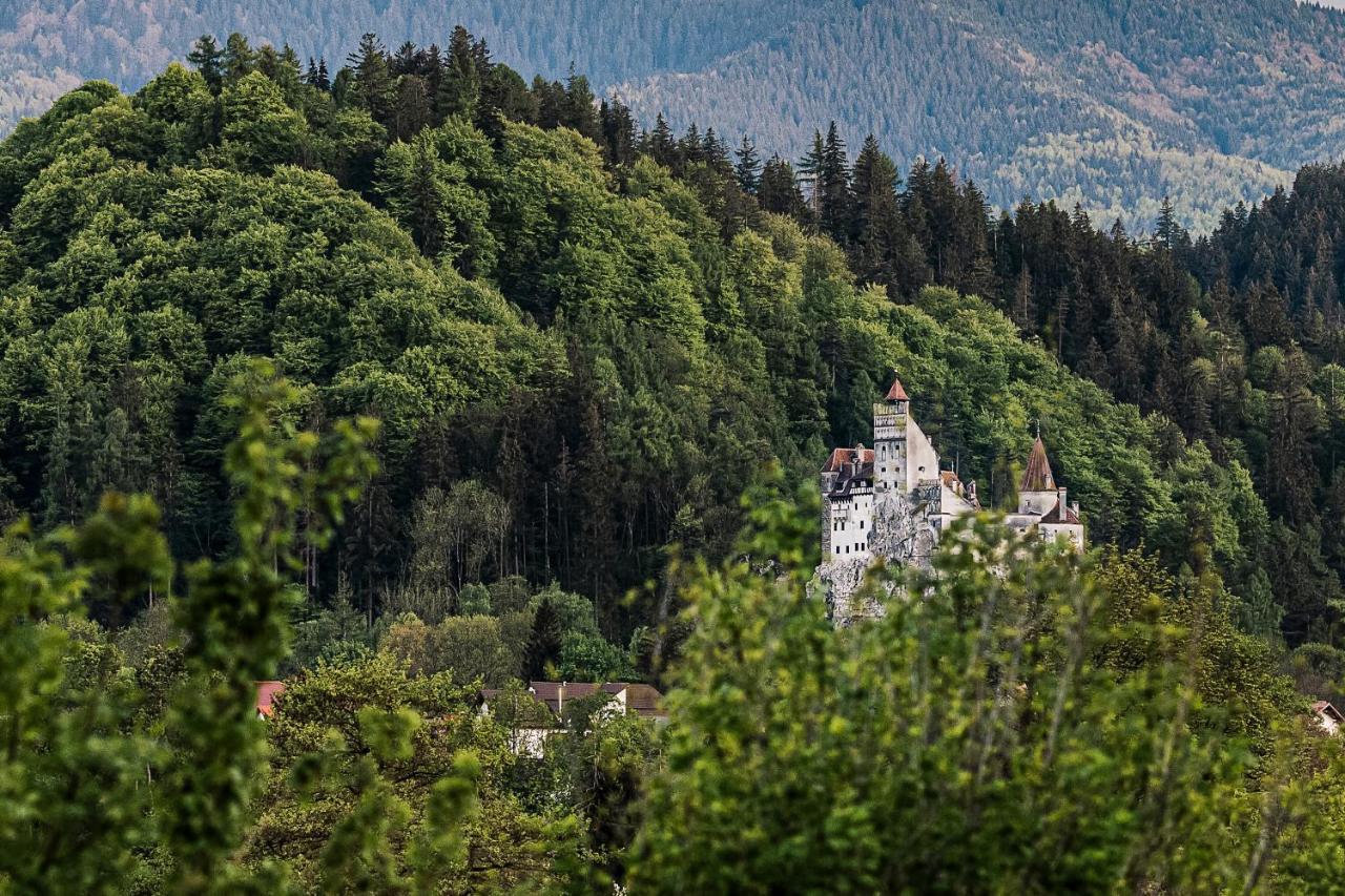 Pensiunea Muntele Rece برانْ المظهر الخارجي الصورة